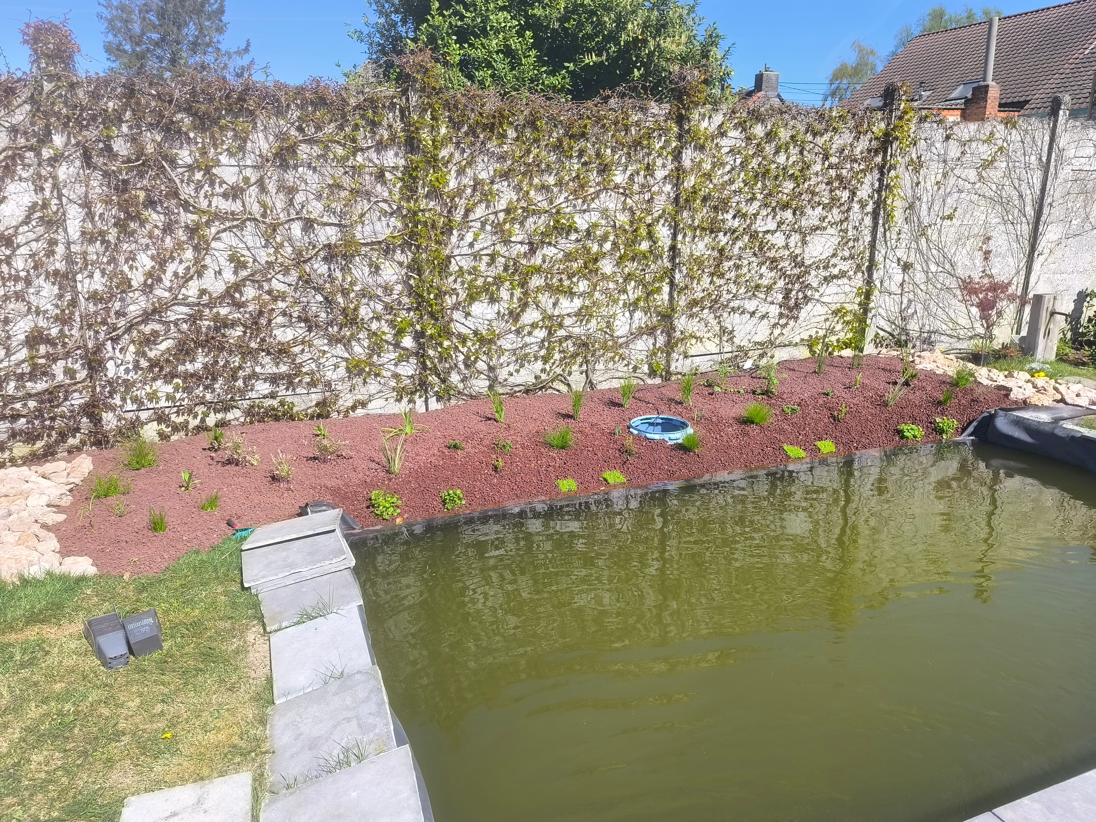 Étangs & bassins