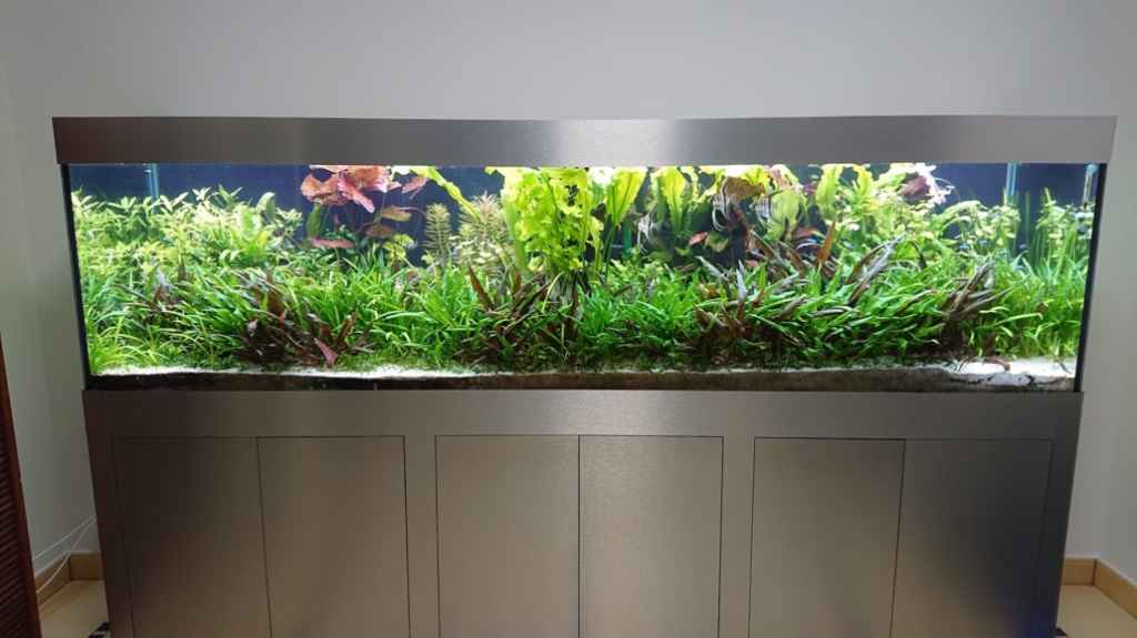 Aquarium